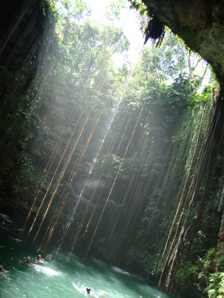 ai768.photobucket.com_albums_xx326_jirco_DSC02487.jpg