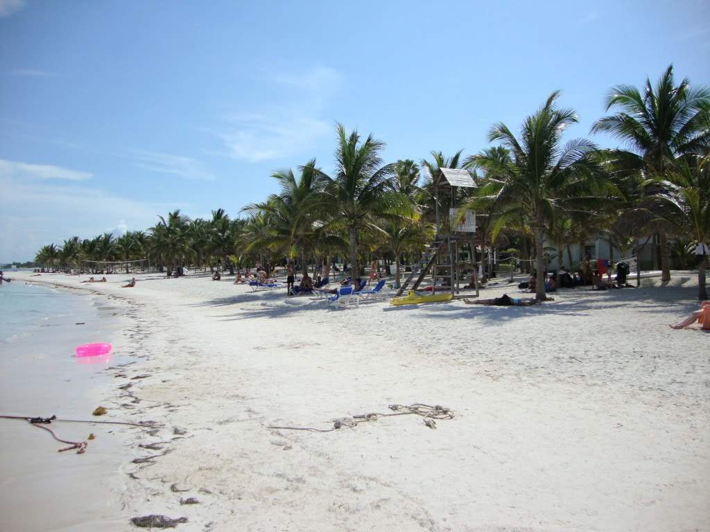 ai768.photobucket.com_albums_xx326_jirco_DSC02721.jpg