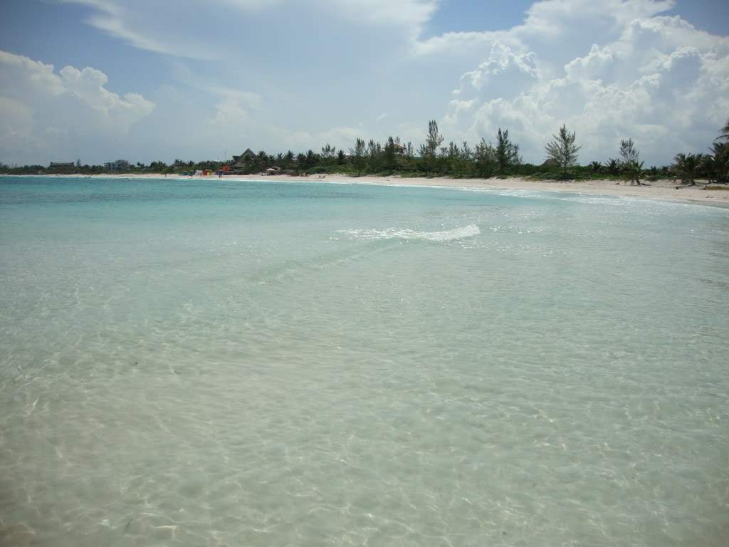 ai768.photobucket.com_albums_xx326_jirco_DSC02893.jpg