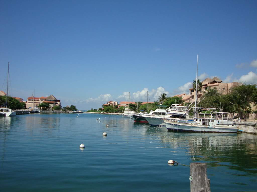 ai768.photobucket.com_albums_xx326_jirco_DSC02923.jpg