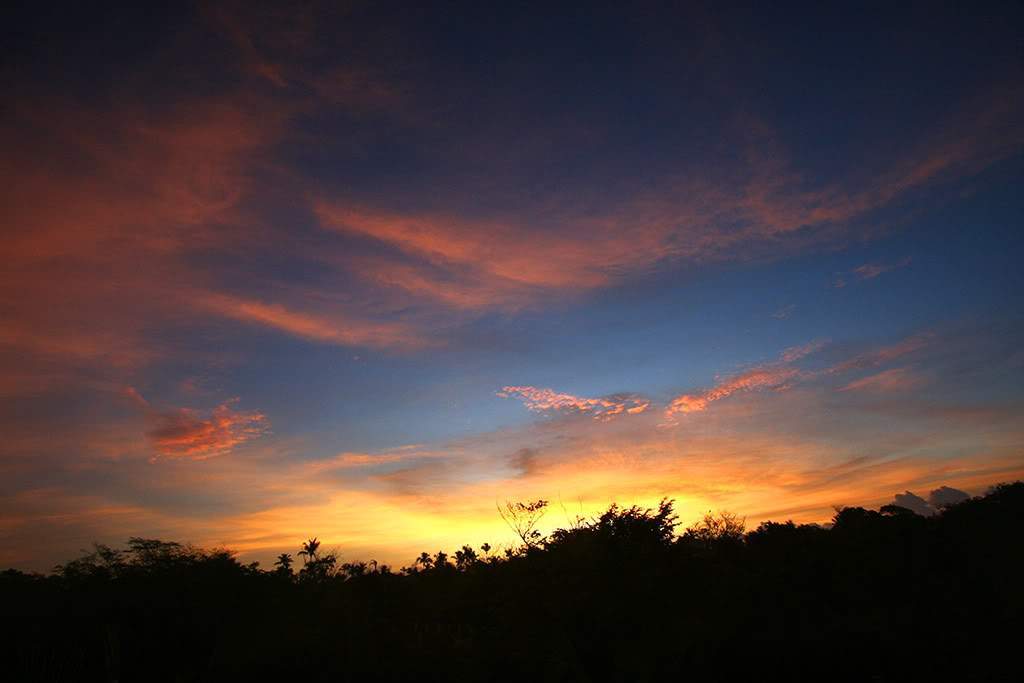 ai768.photobucket.com_albums_xx330_VatoLocoPT_IMG_4123.jpg