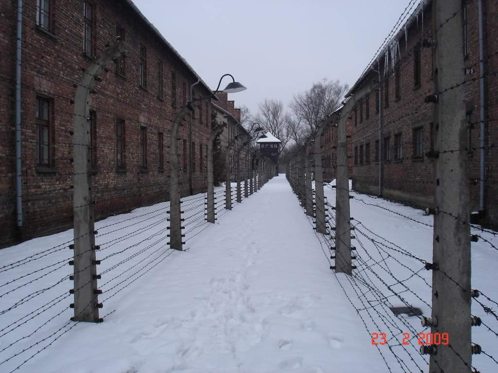 ai776.photobucket.com_albums_yy42_marmotavc_Polonia_Polnia_Fev09148.jpg