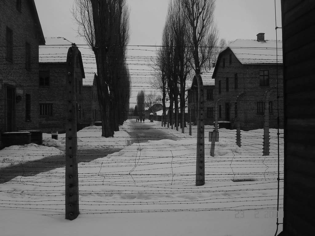 ai776.photobucket.com_albums_yy42_marmotavc_Polonia_Polnia_Fev09150.jpg