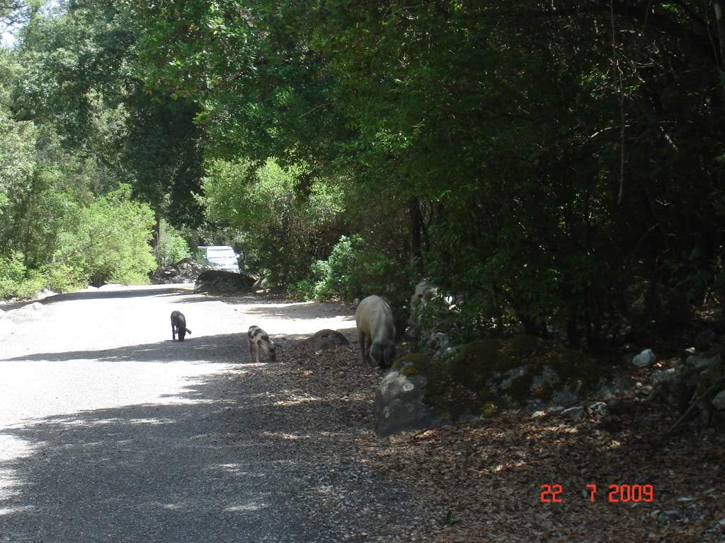 ai776.photobucket.com_albums_yy42_marmotavc_Sardenha_Sardenha_Julho2009294.jpg