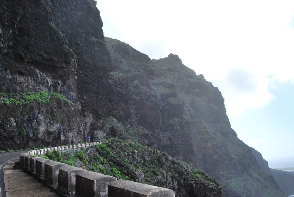 ai776.photobucket.com_albums_yy42_marmotavc_Tenerife_Tenerife_Fevereiro2010304.jpg
