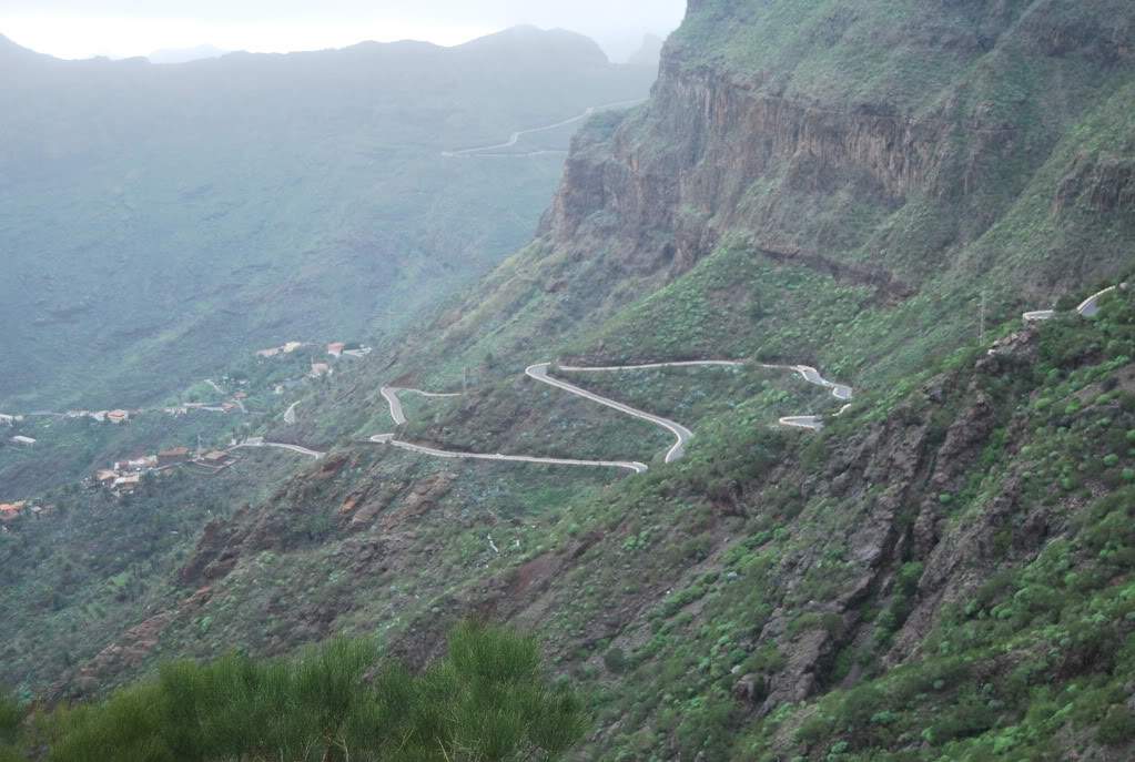 ai776.photobucket.com_albums_yy42_marmotavc_Tenerife_Tenerife_Fevereiro2010486.jpg