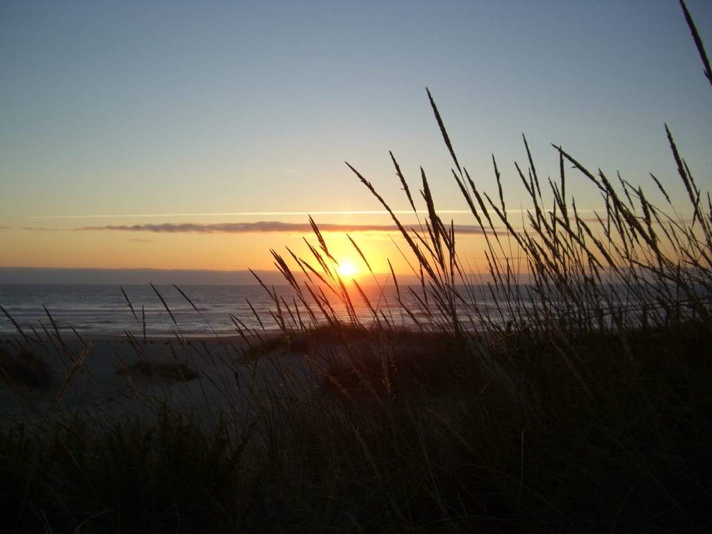 ai777.photobucket.com_albums_yy53_pereirac_CIMG0179.jpg