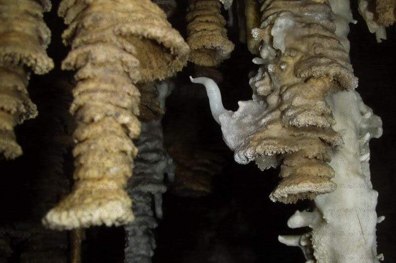 ai787.photobucket.com_albums_yy153_Uska_photos_RioSecreto37_resize.jpg