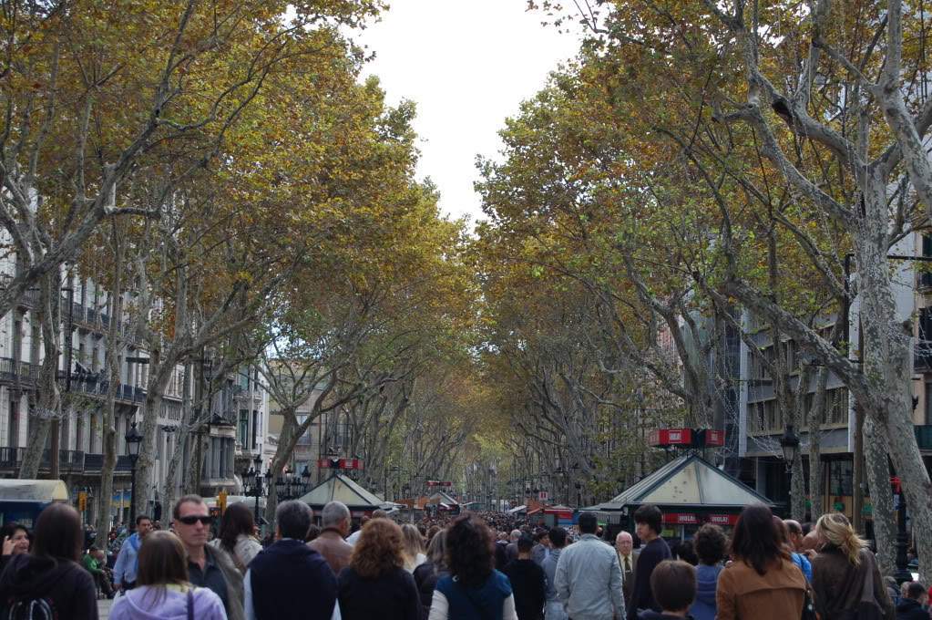 ai802.photobucket.com_albums_yy301_monica_myphotos1_Barcelona_41.jpg