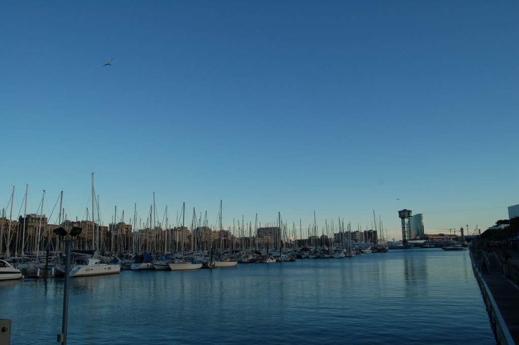 ai802.photobucket.com_albums_yy301_monica_myphotos1_Barcelona_DSC_0296.jpg