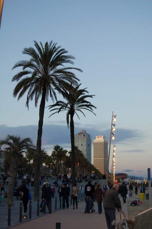 ai802.photobucket.com_albums_yy301_monica_myphotos1_Barcelona_DSC_0313.jpg