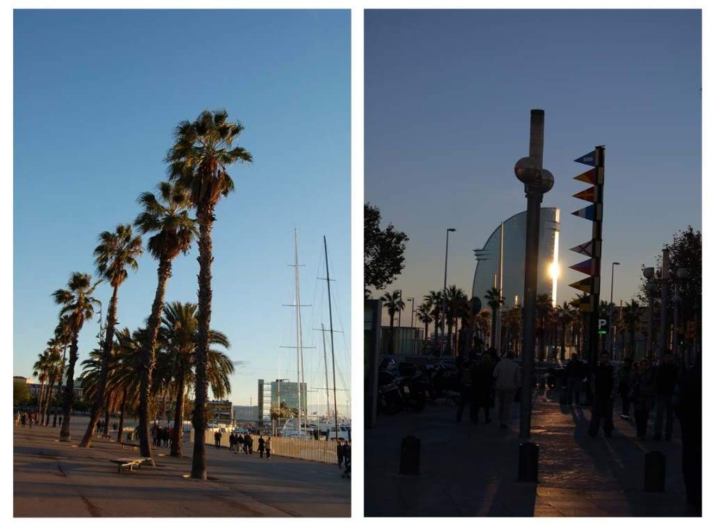 ai802.photobucket.com_albums_yy301_monica_myphotos1_Barcelona_montagem27_1.jpg
