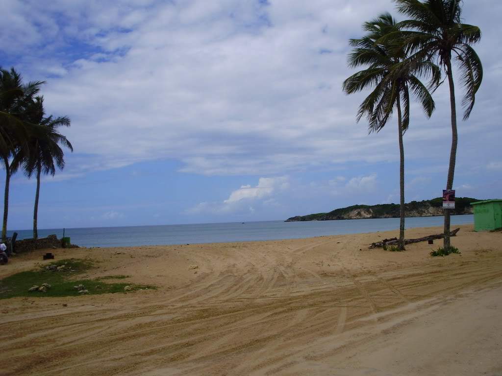 ai804.photobucket.com_albums_yy327_patriciafonso_P6220211.jpg