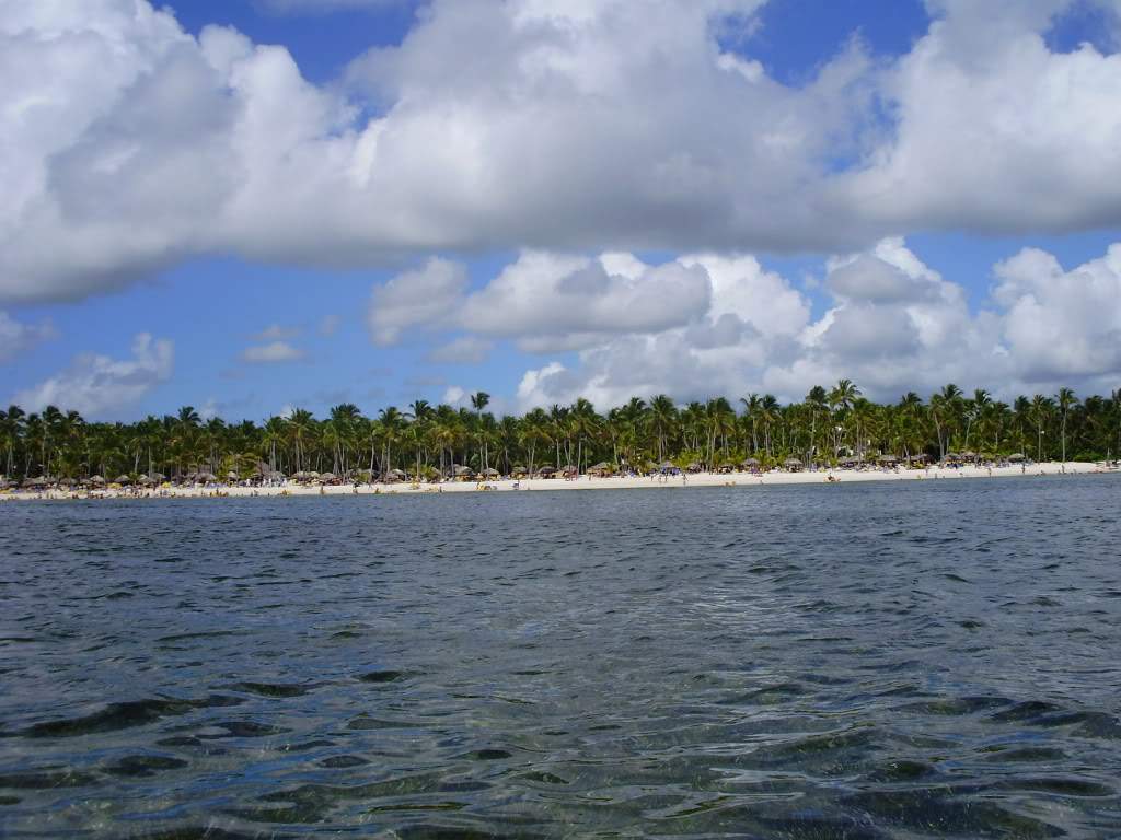 ai804.photobucket.com_albums_yy327_patriciafonso_P6230249.jpg