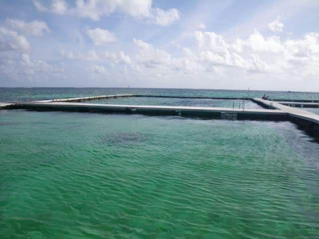 ai807.photobucket.com_albums_yy356_tiagottx_IFA_007.jpg