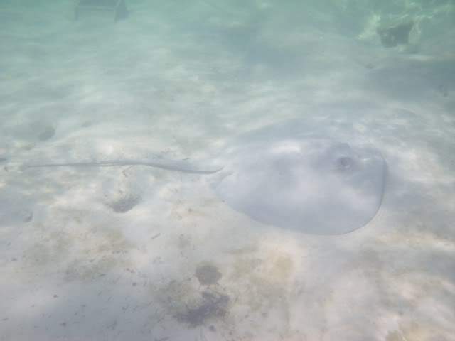 ai807.photobucket.com_albums_yy356_tiagottx_IFA_009.jpg