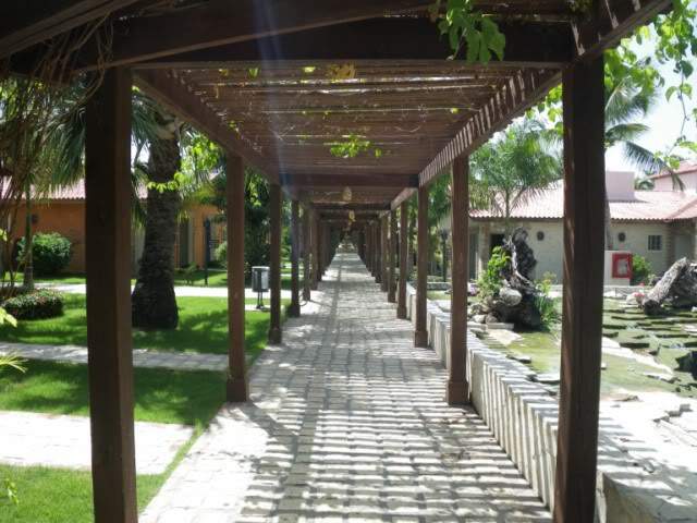 ai807.photobucket.com_albums_yy356_tiagottx_IFA_017.jpg