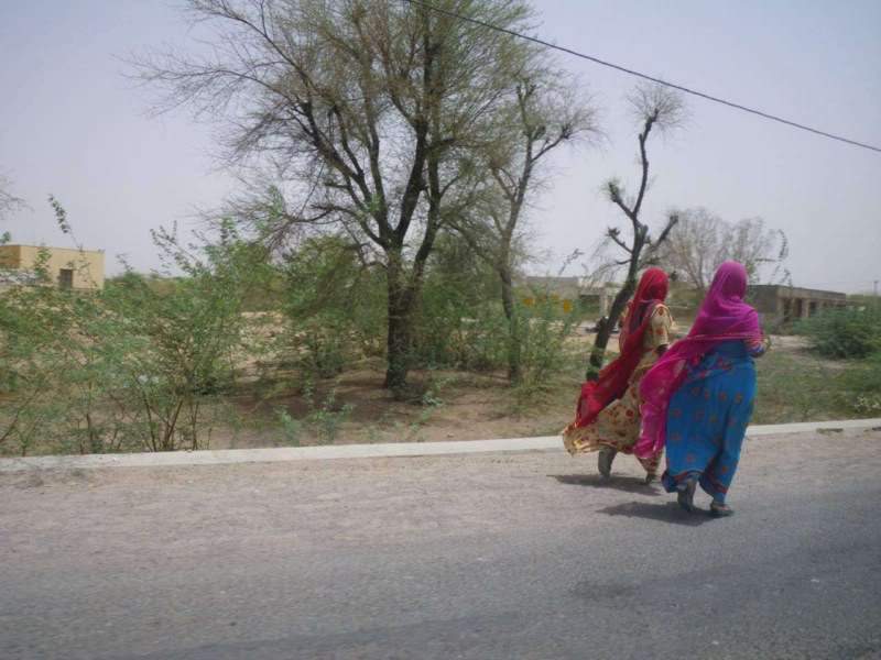 ai807.photobucket.com_albums_yy356_tiagottx_India_202010_16.jpg