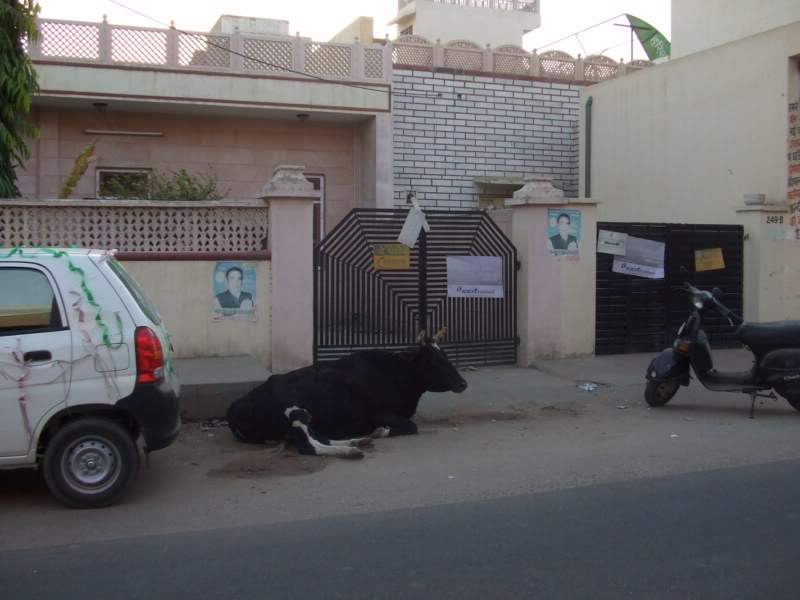 ai807.photobucket.com_albums_yy356_tiagottx_India_202010_53.jpg