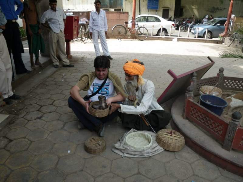 ai807.photobucket.com_albums_yy356_tiagottx_India_202010_cobras.jpg