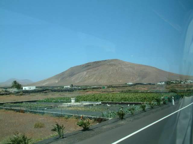 ai807.photobucket.com_albums_yy356_tiagottx_Joias_Joias40.jpg