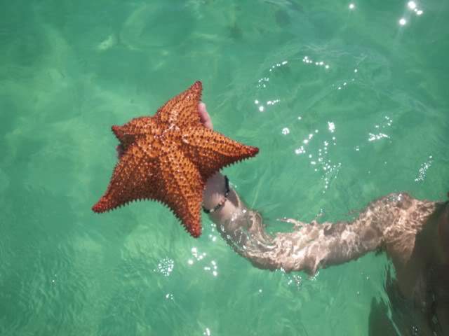 ai807.photobucket.com_albums_yy356_tiagottx_Saona_saona_008.jpg