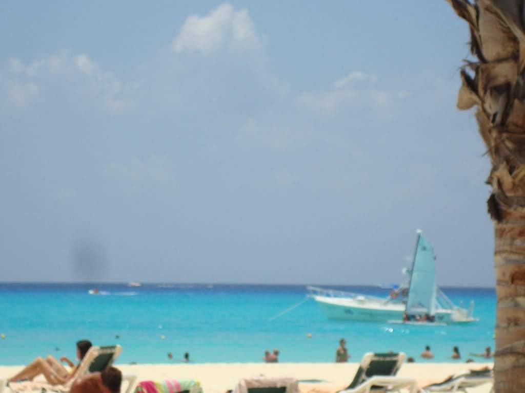 ai809.photobucket.com_albums_zz11_sufia_2010_DSC00878.jpg