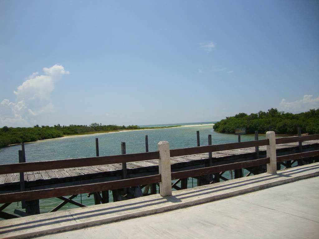 ai809.photobucket.com_albums_zz11_sufia_2010_DSC01065.jpg
