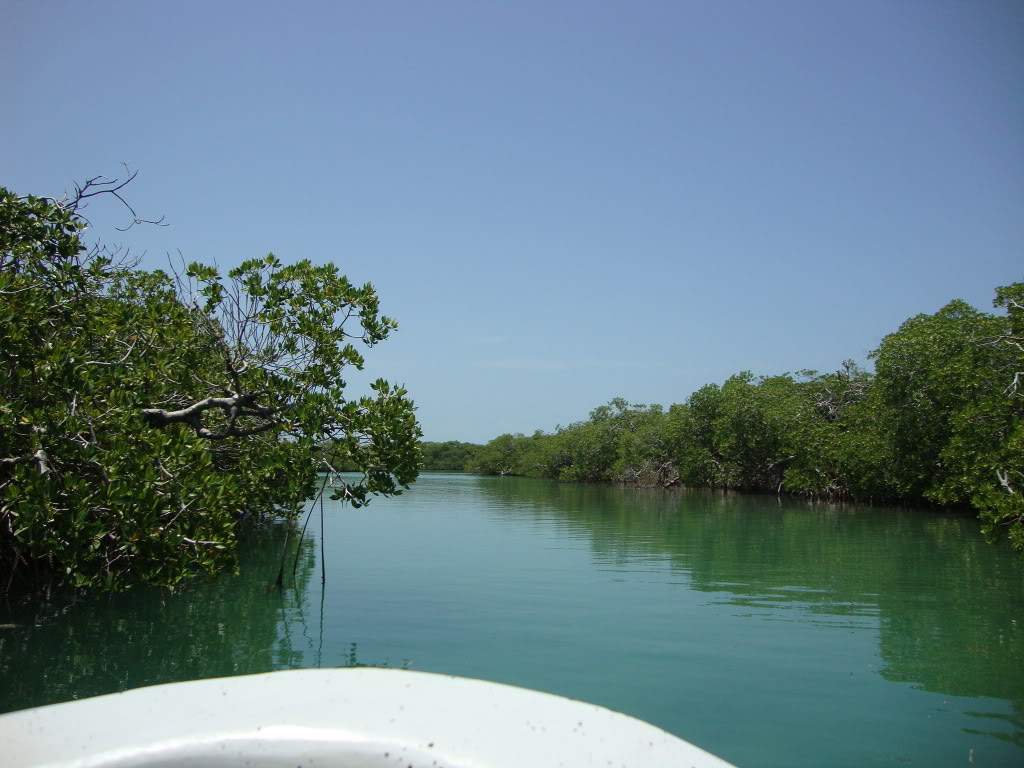 ai809.photobucket.com_albums_zz11_sufia_2010_DSC01161.jpg