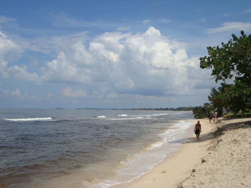 ai810.photobucket.com_albums_zz23_BUEDEFISH_DSC03222.jpg