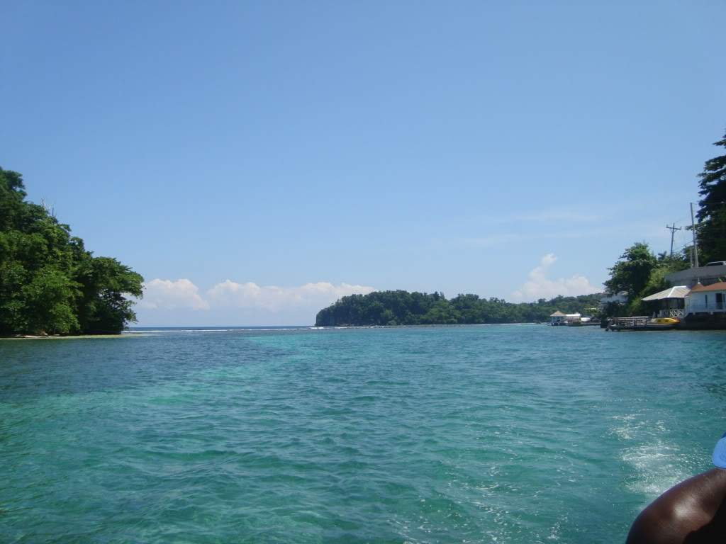 ai810.photobucket.com_albums_zz23_BUEDEFISH_DSC03360.jpg