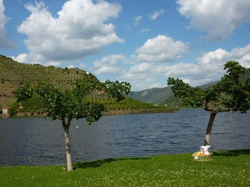 ai823.photobucket.com_albums_zz157_pilarfernandes_99.jpg