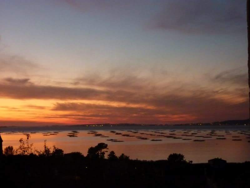 ai823.photobucket.com_albums_zz157_pilarfernandes_P1010920800x600.jpg