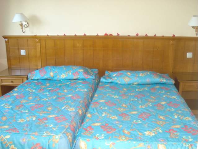 ai825.photobucket.com_albums_zz175_carladejesus_2406_DSC02058.jpg