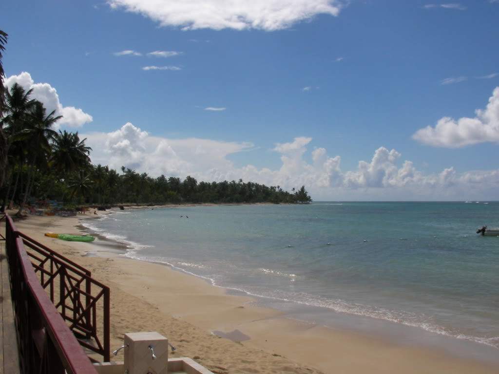 ai834.photobucket.com_albums_zz267_pfranza_SANY0014.jpg