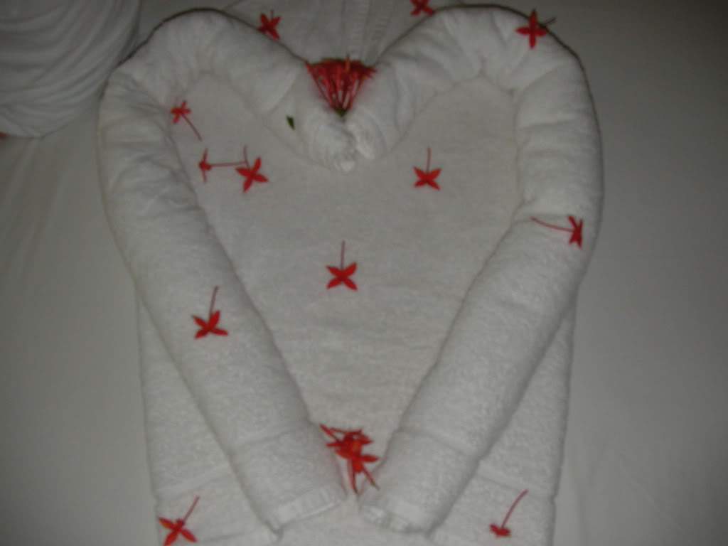 ai834.photobucket.com_albums_zz267_pfranza_SANY0123.jpg