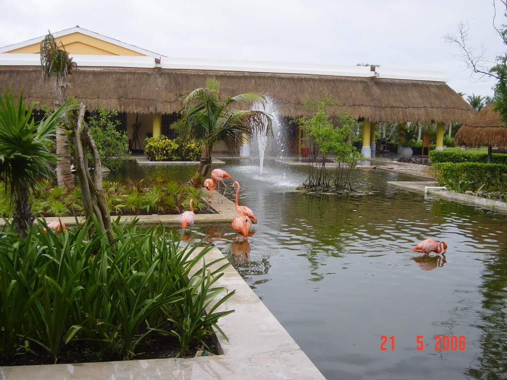 ai836.photobucket.com_albums_zz282_pabecada_Ferias_202006_Mexicfb455163702bb549fb7c1a49cbe810d.jpg