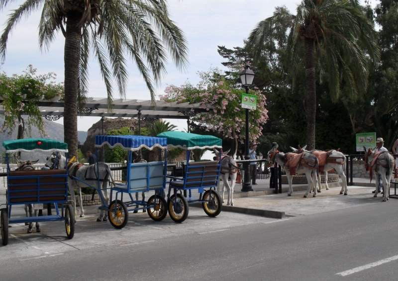 ai841.photobucket.com_albums_zz339_anareis_2010_Mijas20.jpg