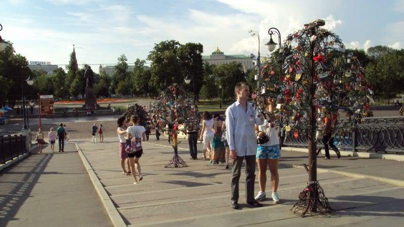 ai848.photobucket.com_albums_ab42_vielam_DSC01857800x600.jpg