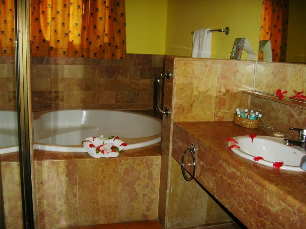 ai849.photobucket.com_albums_ab58_titinhavi_100_2949.jpg