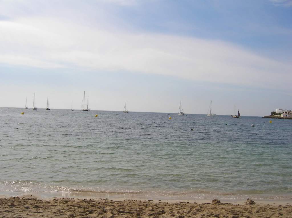 ai849.photobucket.com_albums_ab58_titinhavi_100_3844.jpg