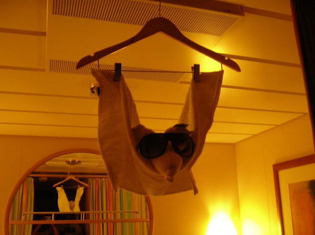 ai849.photobucket.com_albums_ab58_titinhavi_100_3943.jpg