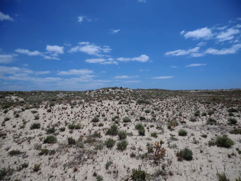 ai851.photobucket.com_albums_ab74_Voadora_album_Algarve_CIMG7173.jpg
