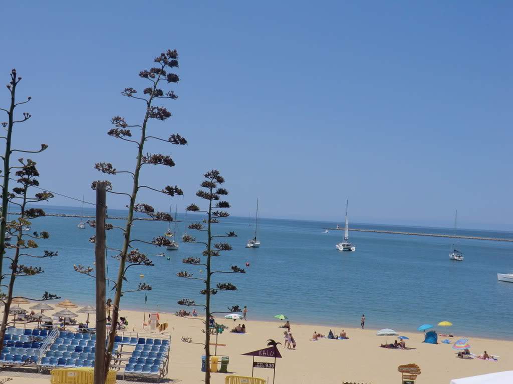 ai851.photobucket.com_albums_ab74_Voadora_album_Barlavento_CIMG7374.jpg