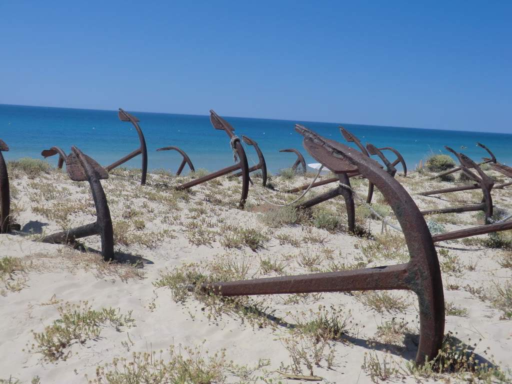 ai851.photobucket.com_albums_ab74_Voadora_album_Barril_CIMG7282.jpg