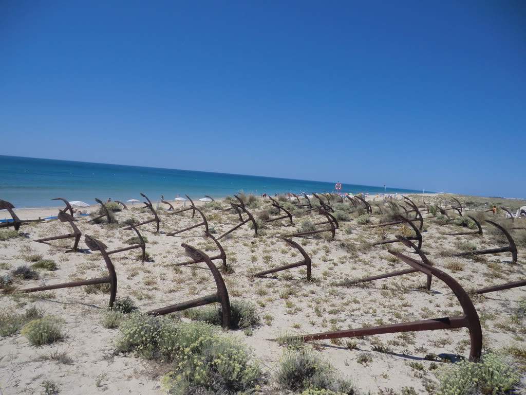 ai851.photobucket.com_albums_ab74_Voadora_album_Barril_CIMG7295.jpg