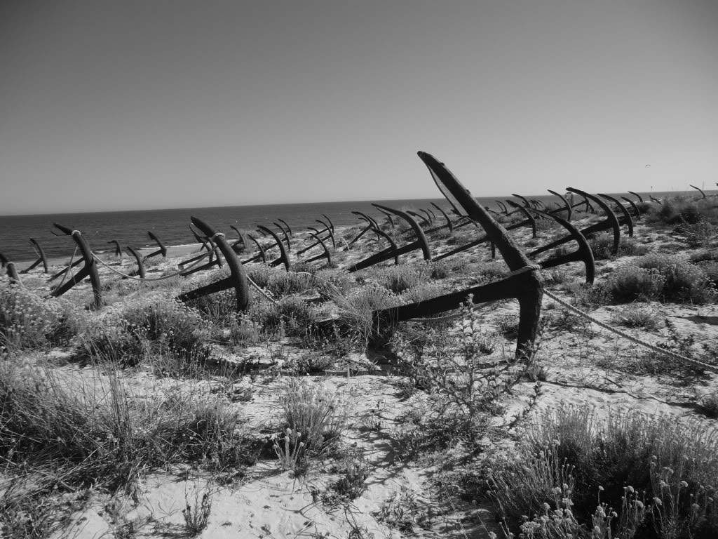 ai851.photobucket.com_albums_ab74_Voadora_album_Barril_CIMG7296.jpg