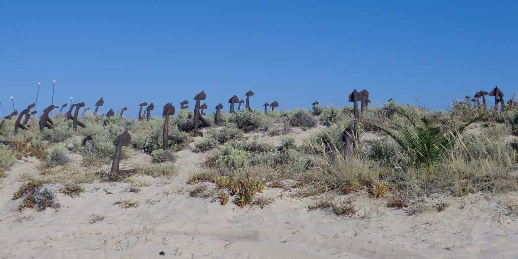 ai851.photobucket.com_albums_ab74_Voadora_album_Barril_CIMG7305.jpg