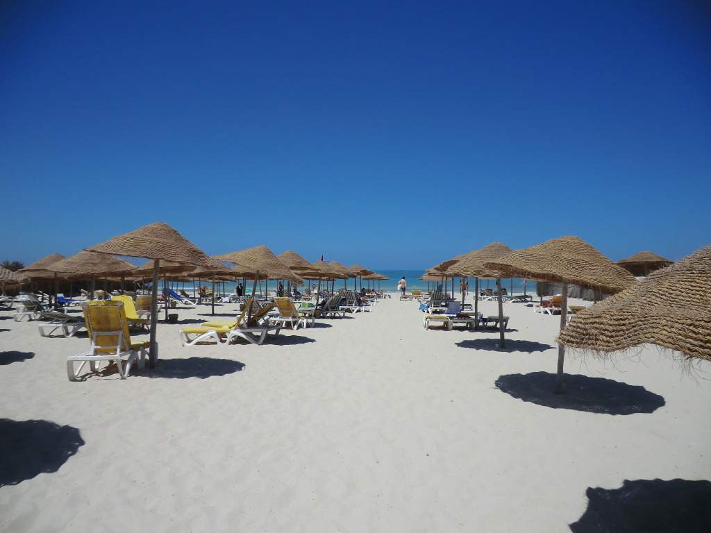 ai851.photobucket.com_albums_ab74_Voadora_album_CIMG8069.jpg