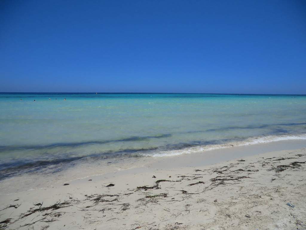 ai851.photobucket.com_albums_ab74_Voadora_album_CIMG8198.jpg